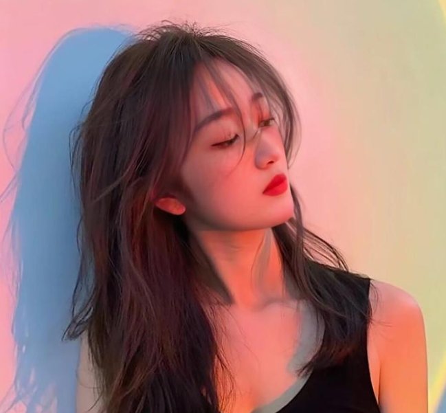 夏日假期玫瑰花